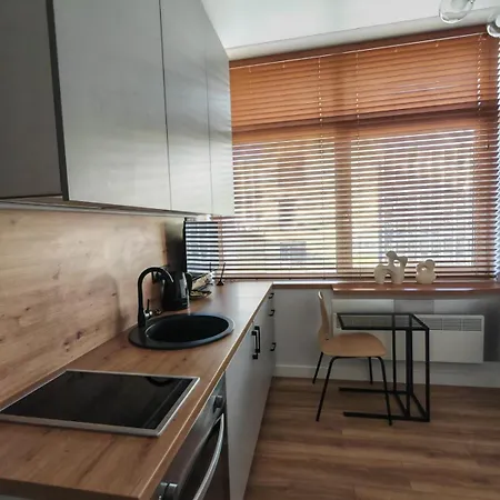 Apartment Apartmentsforrent In Vilnius