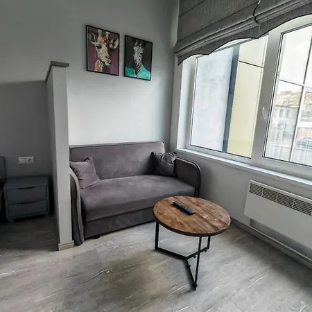 Apartmentsforrent In * Vilnius