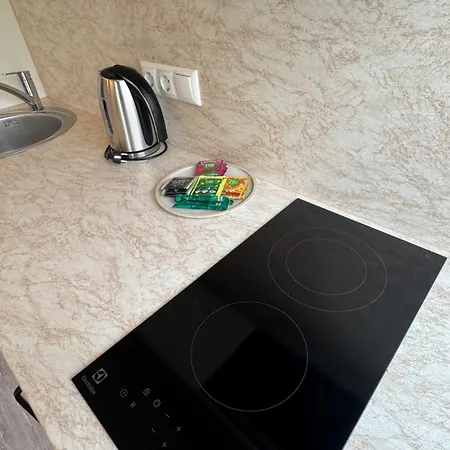 Apartmentsforrent In Διαμέρισμα Βίλνιους